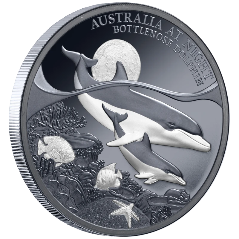 Niue: silver coin Bottlenose Dolphin 2025 Proof 1 oz Collectible coins