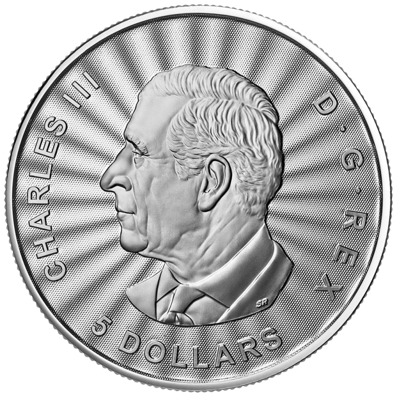 Canada: silver coin The Majestic Polar Bear 2025 1 oz Collectible coins