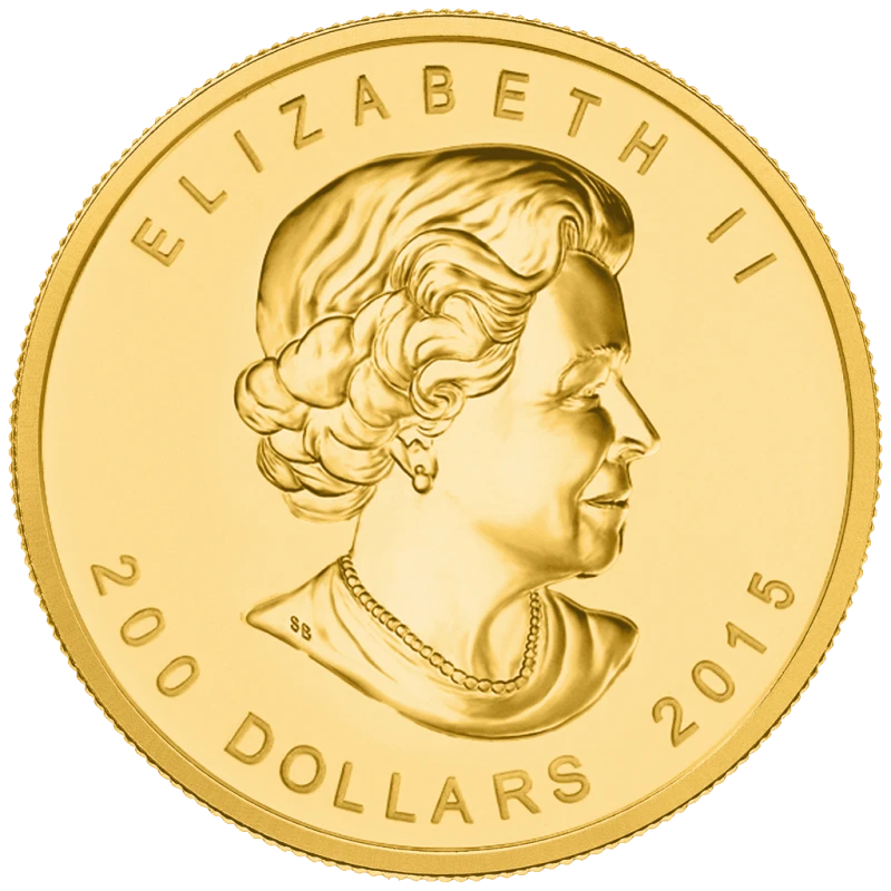 Canada Gold Coin Growling Cougar 2015 Blister 1 oz Collectible coins