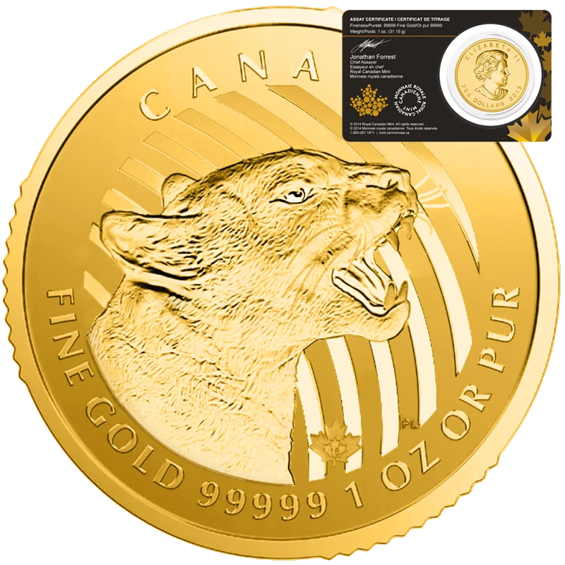 Canada Gold Coin Growling Cougar 2015 Blister 1 oz Collectible coins