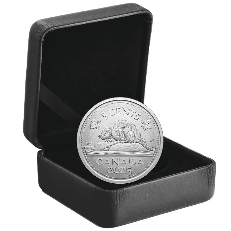 Canada: silver coin Beaver 2025 1 oz Collectible coins