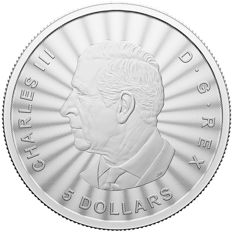 Canada: silver coin The Majestic Polar Bear 2024 1 oz Collectible coins