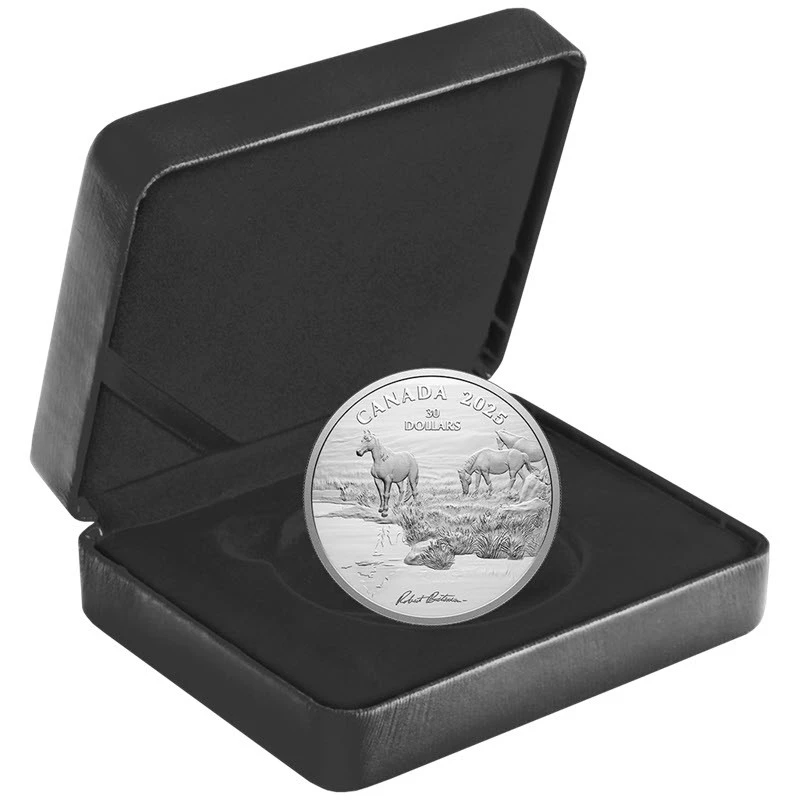 Canada: silver coin Mustang Country 2025 Proof 2 oz Collectible coins