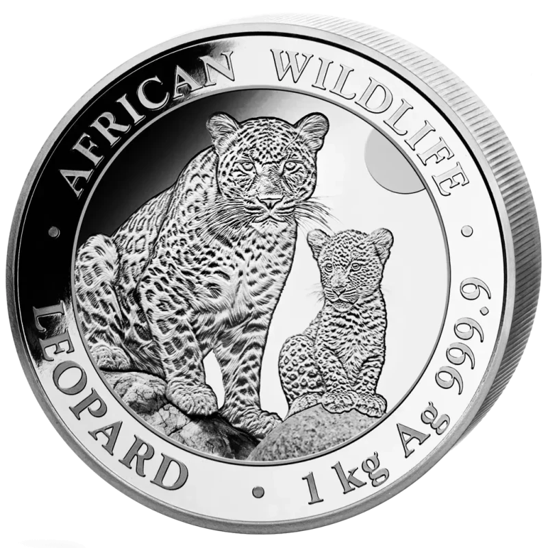 Somalia Silver Coin African Wildlife Leopard 2024 1000 g Collectible coins