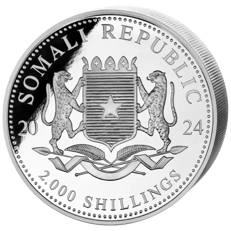 Somalia Silver Coin African Wildlife Leopard 2024 1000 g Collectible coins