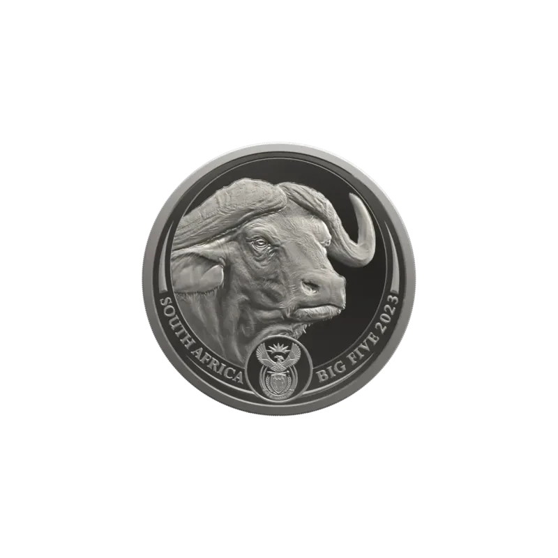 South Africa Platinum Coin Buffalo 2023 Proof 1 oz Collectible coins