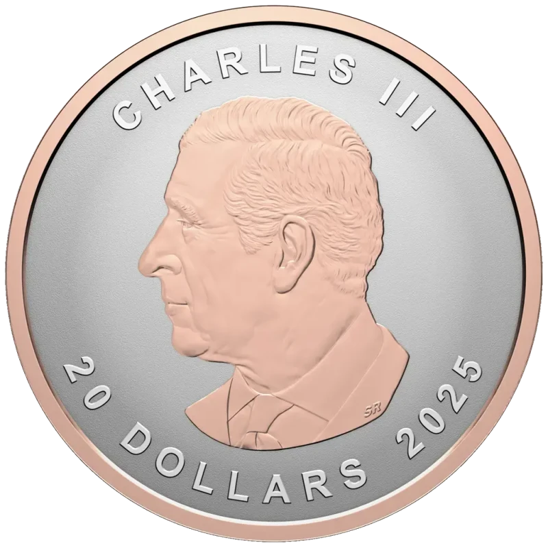 Canada Silver Coin Maple Leaf 2025 Rose Gold Plated 1 oz Collectible coins