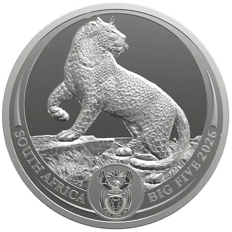 South Africa Silver Coin Leopard 2026 1 oz Collectible coins